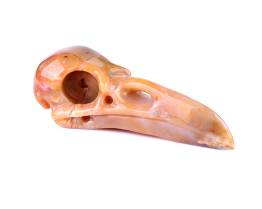 Nicedony 4.7" Chalcedony Hand Carved Crystal Raven Skull Sculpture