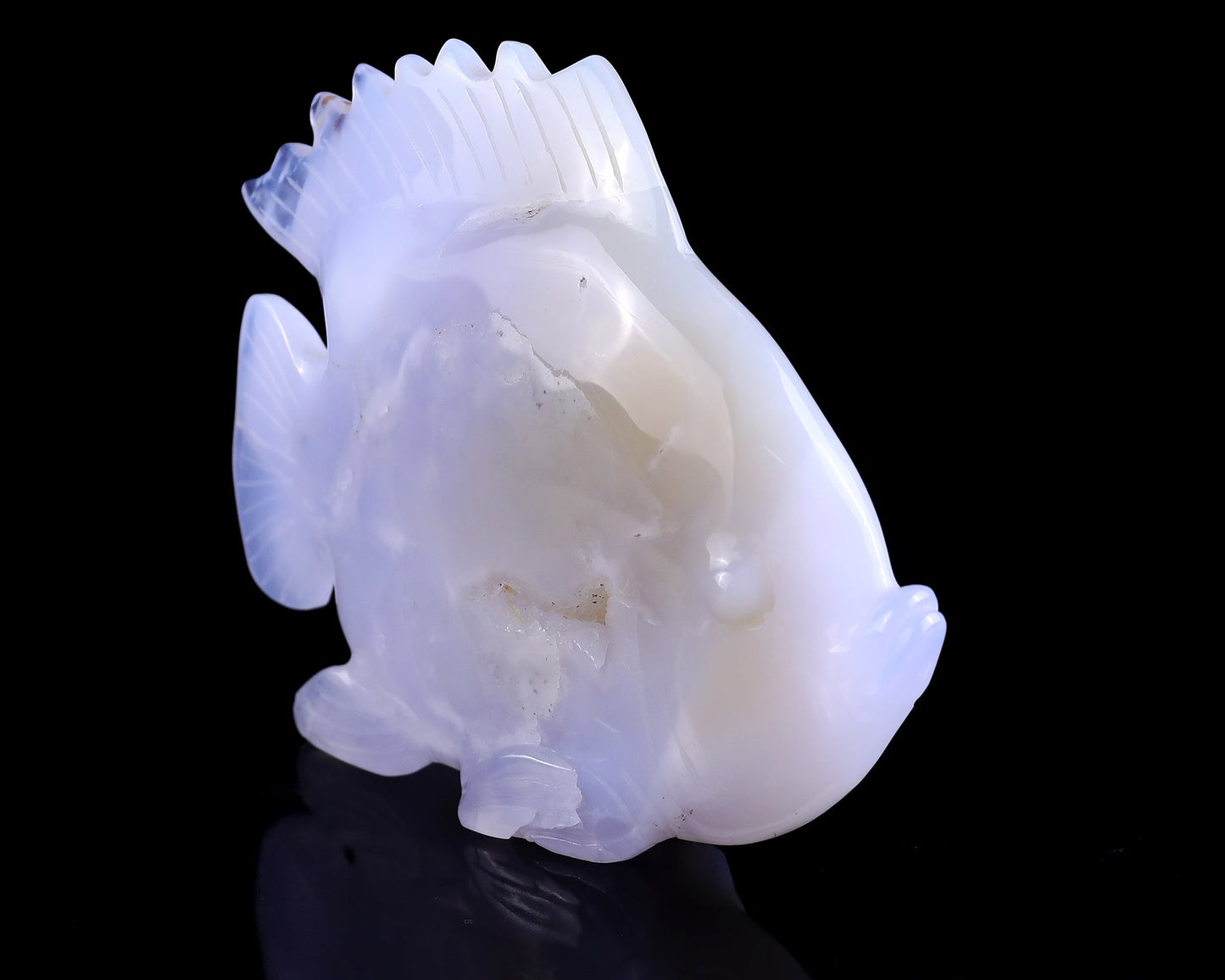 Nicedony 5.1" Blue Chalcedony Hand Carved Golden Fish Sculpture - View 7