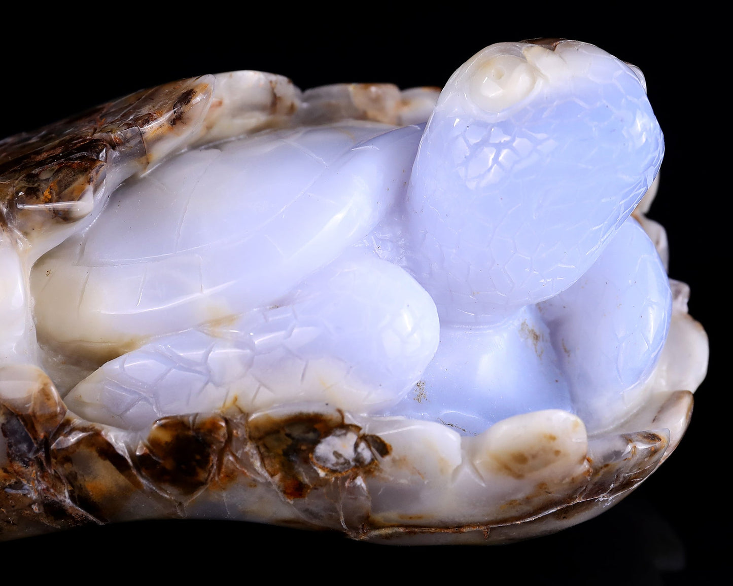 Nicedony 5.3" Blue Chalcedony Hand Carved Crystal Turtle Sculpture - View 10