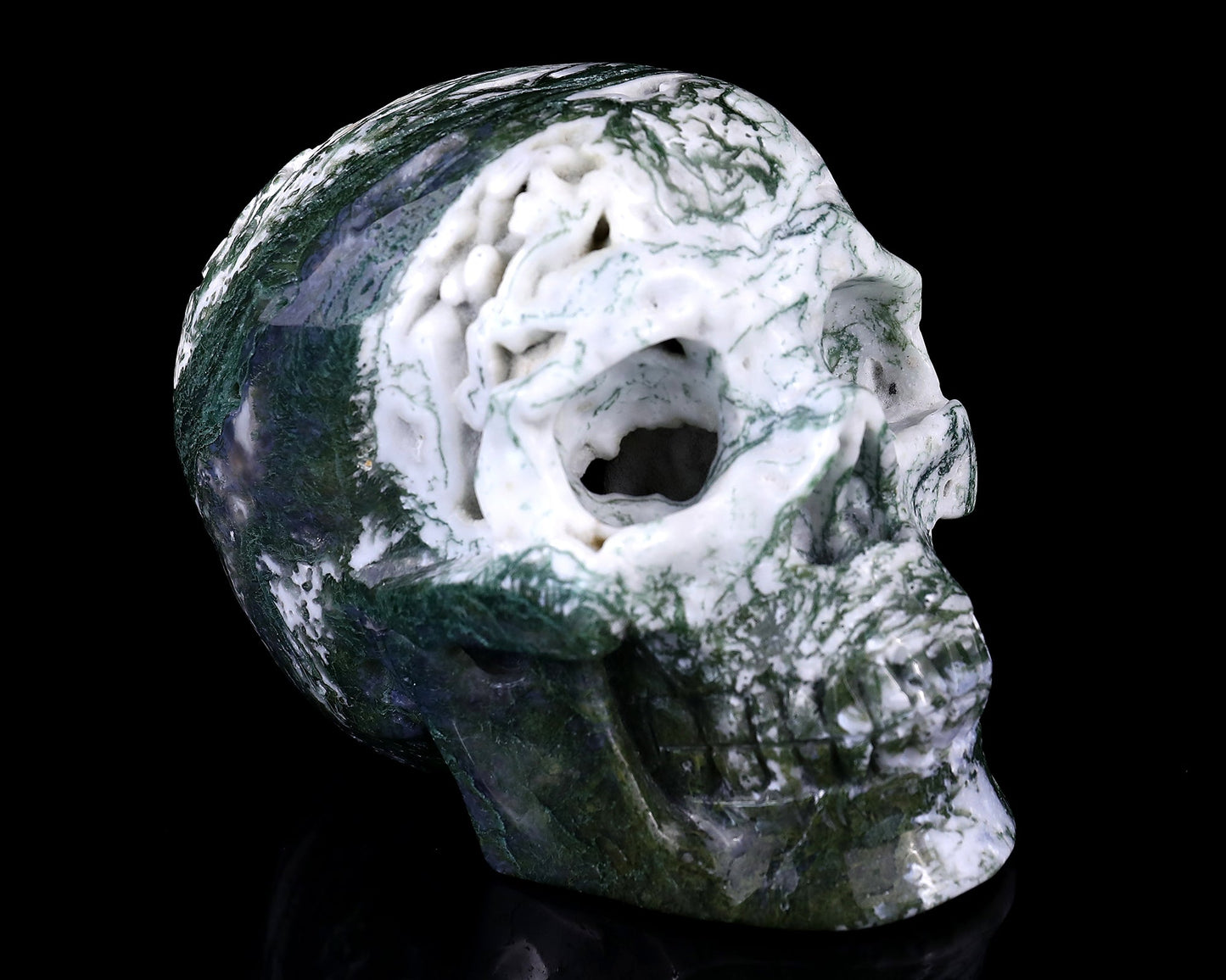 Nicedony 5.7" Moss Agate Hand Carved Realistic Skull Sculpture - View 8