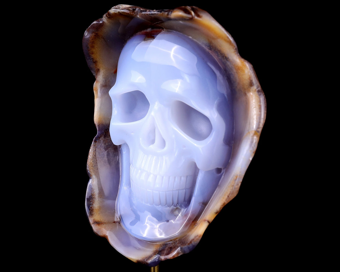 Nicedony 6.4" Blue Chalcedony Hand Carved Skull Sculpture - View 7