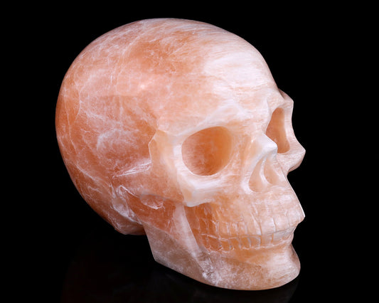 Nicedony 6.9" Orange Selenite Hand Carved Realistic Skull Sculpture
