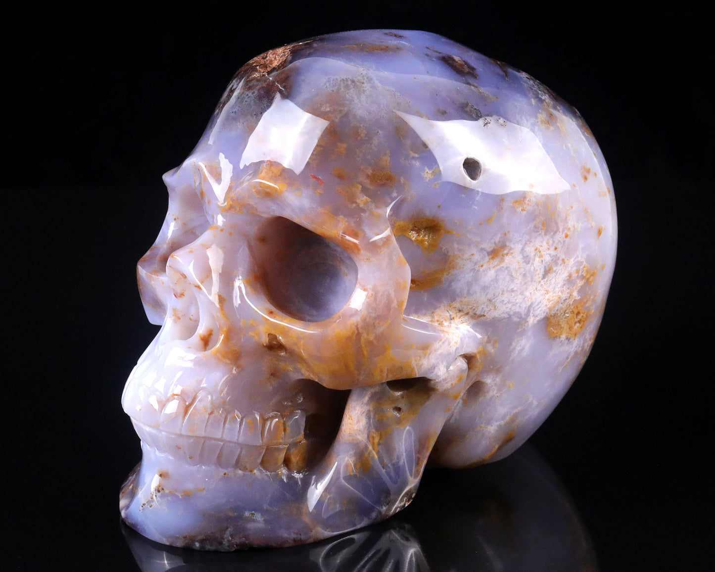 Nicedony 7.7" Blue Chalcedony Hand Carved Realistic Skull Sculpture - View 10