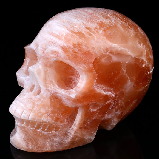 Nicedony 7.7" Orange Selenite Hand Carved Realistic Skull Sculpture