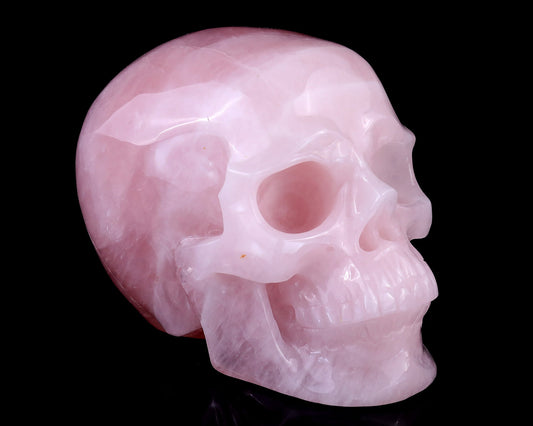 Nicedony 7.7" Pink Quartz Hand Carved Realistic Skull Sculpture