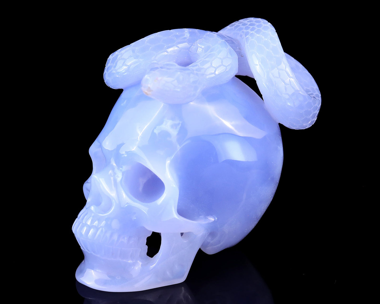 Nicedony 4.5" Blue Chalcedony Hand Carved Realistic Skull with Snake - View 7