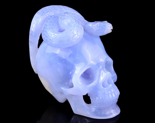Nicedony 4.5" Blue Chalcedony Hand Carved Realistic Skull with Snake