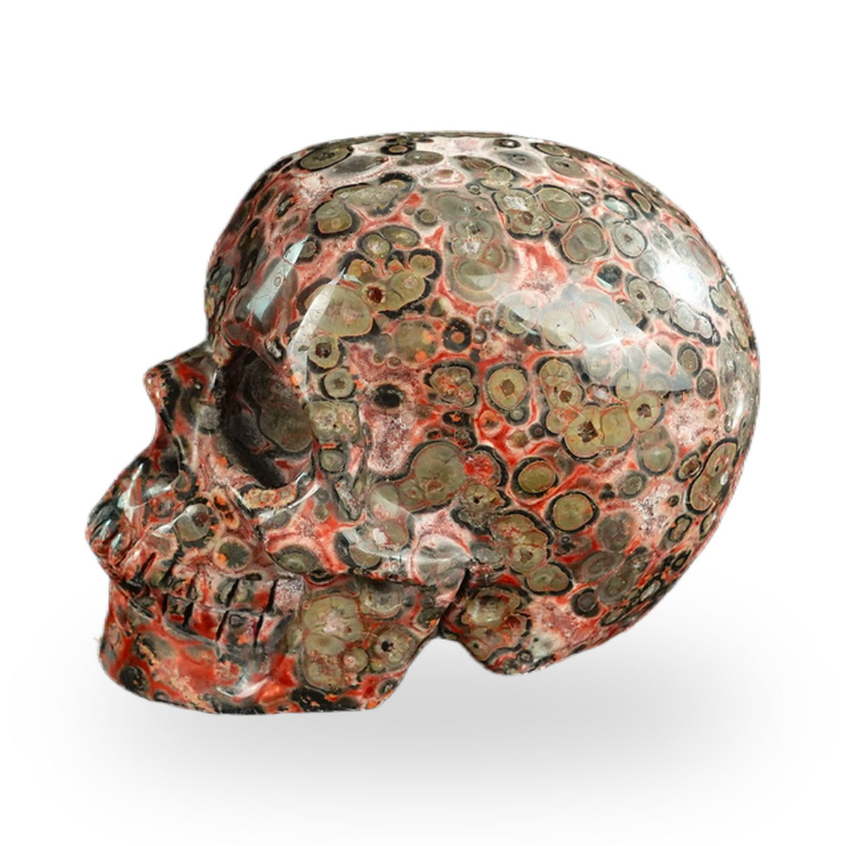 Red Leopard Skin Jasper crystal skull 2.2" SKH20LS01 view 5