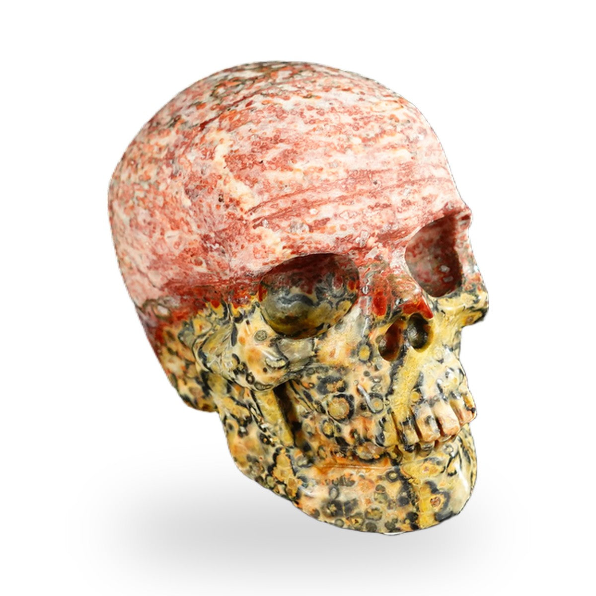 Red Leopard Skin Jasper crystal skull 2.2" SKH20LS03 photo 2