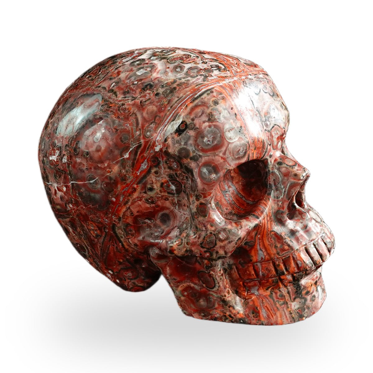 Red Leopard Skin Jasper crystal skull 3" SKH30LS01 view 4
