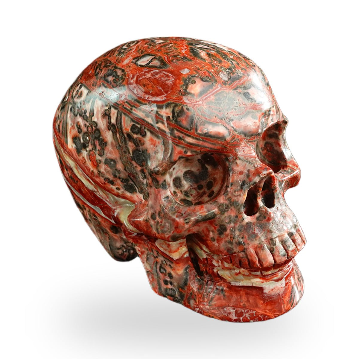 Red Leopard Skin Jasper crystal skull 3" SKH30LS02 photo 4