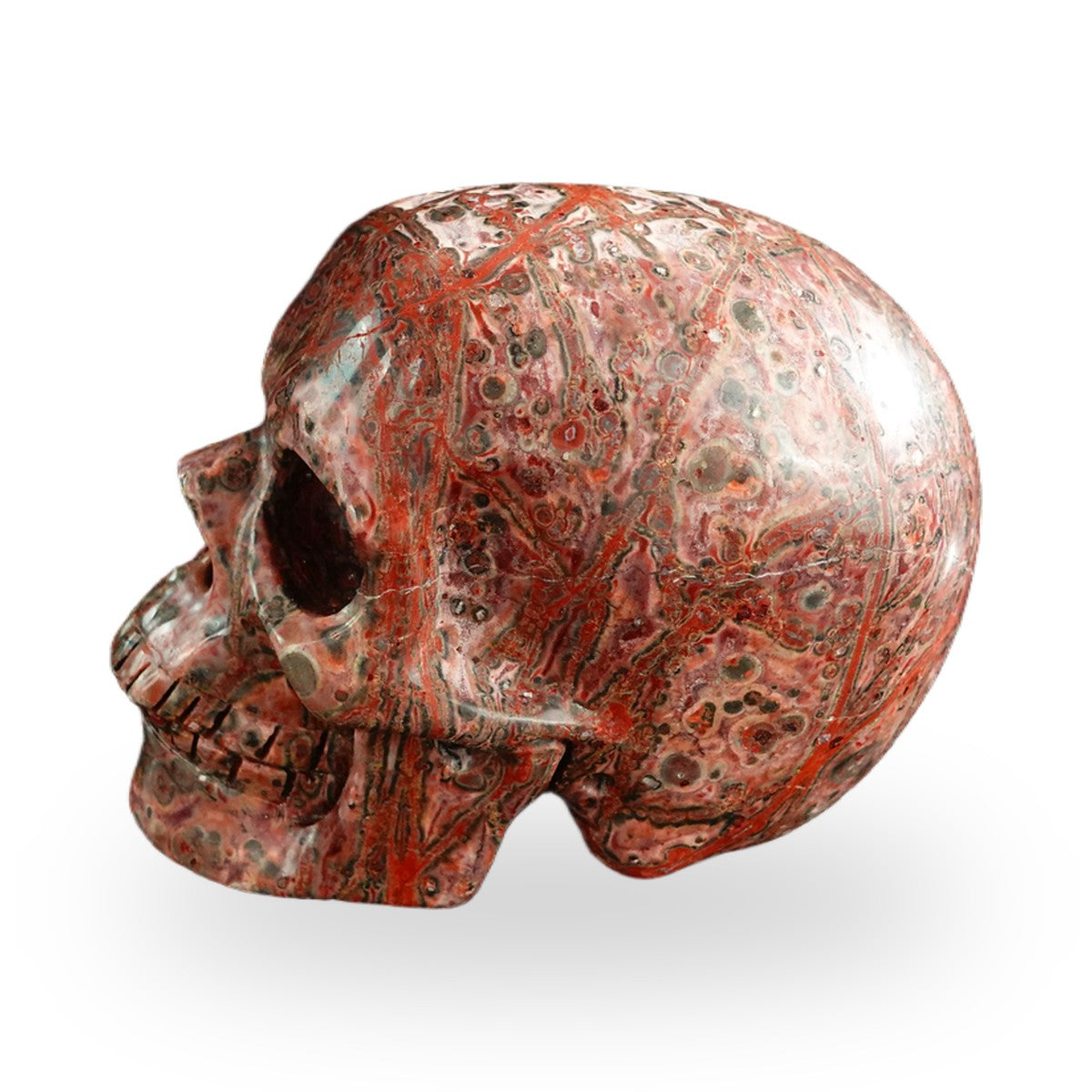 Red Leopard Skin Jasper crystal skull 3" SKH30LS03 photo 6