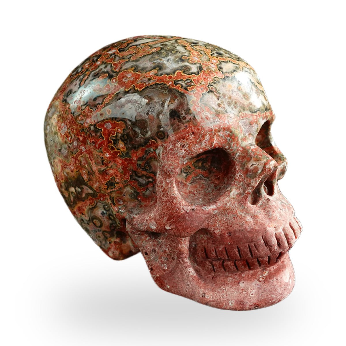 Red Leopard Skin Jasper crystal skull 3" SKH30LS04 photo 5