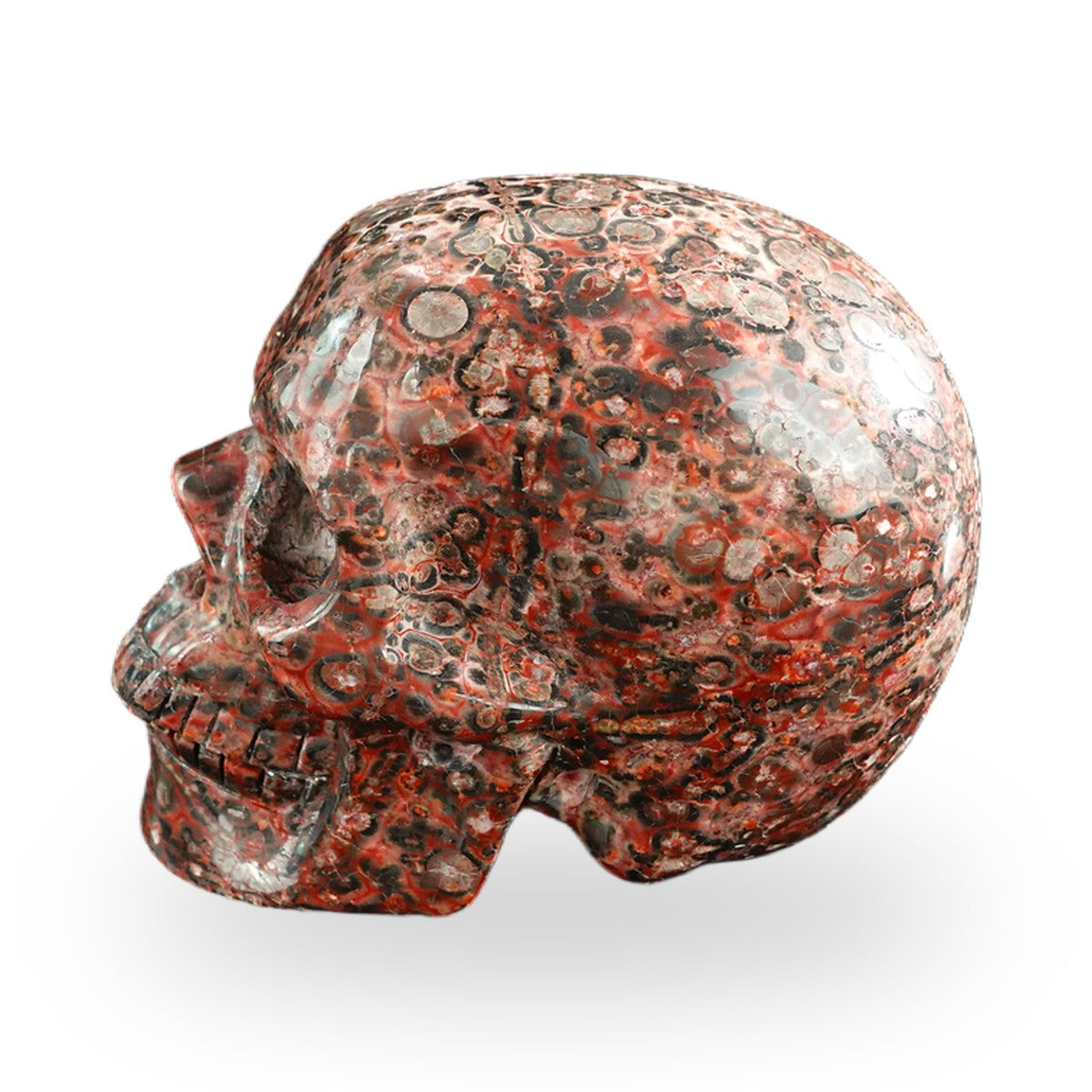 Red Leopard Skin Jasper crystal skull 3" SKH30LS05 photo 6