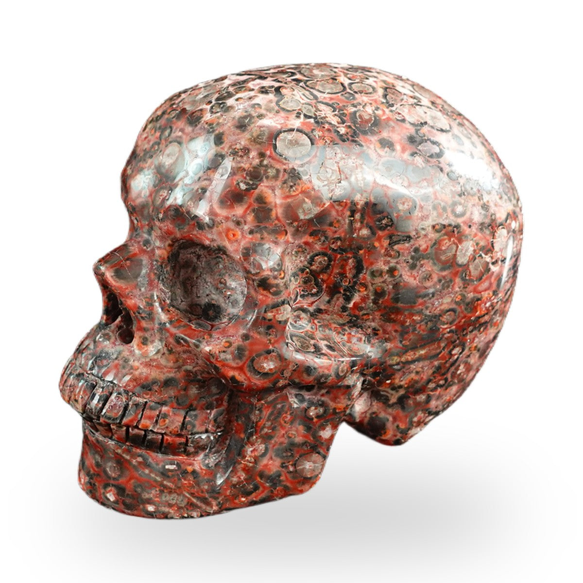Red Leopard Skin Jasper crystal skull 3" SKH30LS05 photo 7