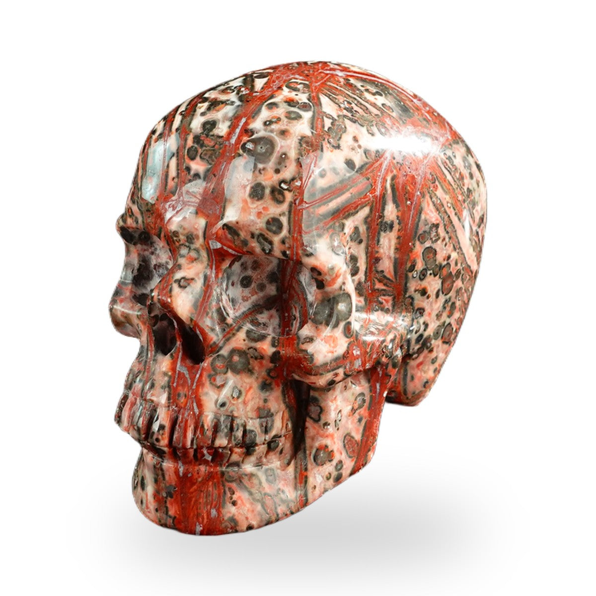 Red Leopard Skin Jasper crystal skull 3" SKH30LS08 photo 2