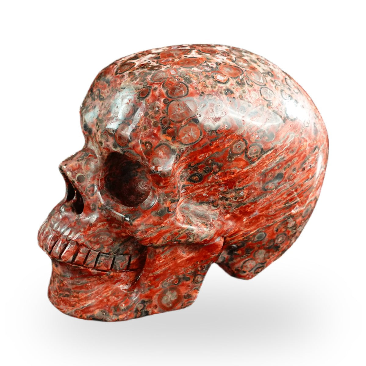 Red Leopard Skin Jasper crystal skull 3" SKH30LS09 photo 7