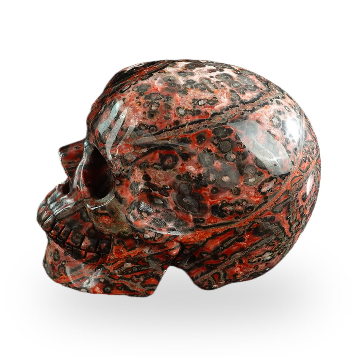 Red Leopard Skin Jasper crystal skull 3" SKH30LS12 photo 6
