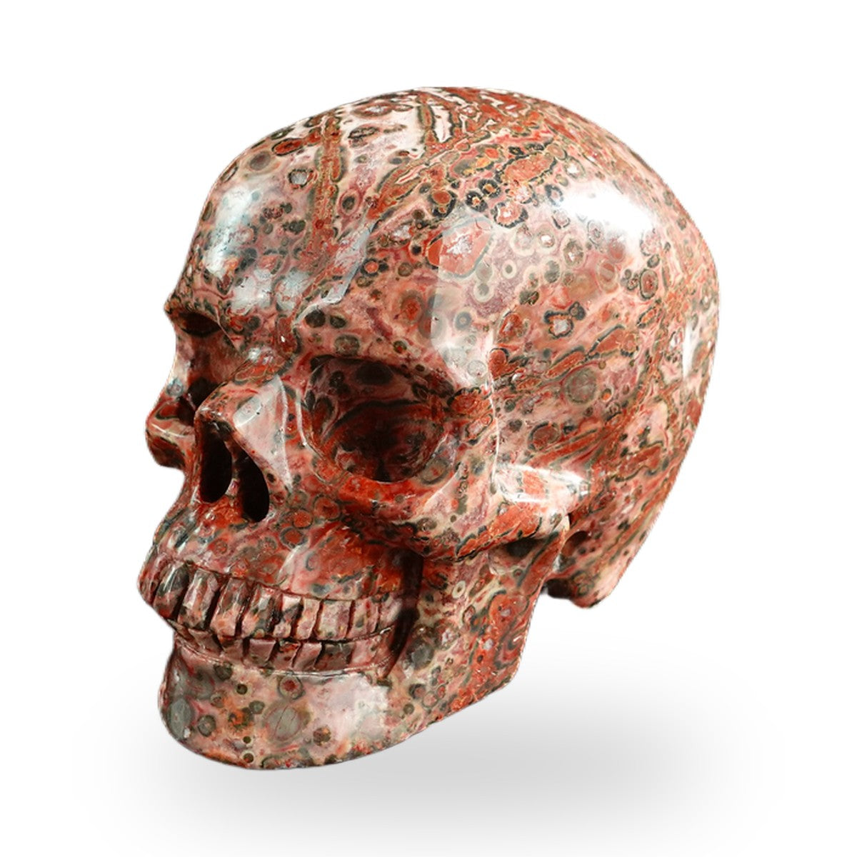 Red Leopard Skin Jasper crystal skull 3" SKH30LS14 photo 8