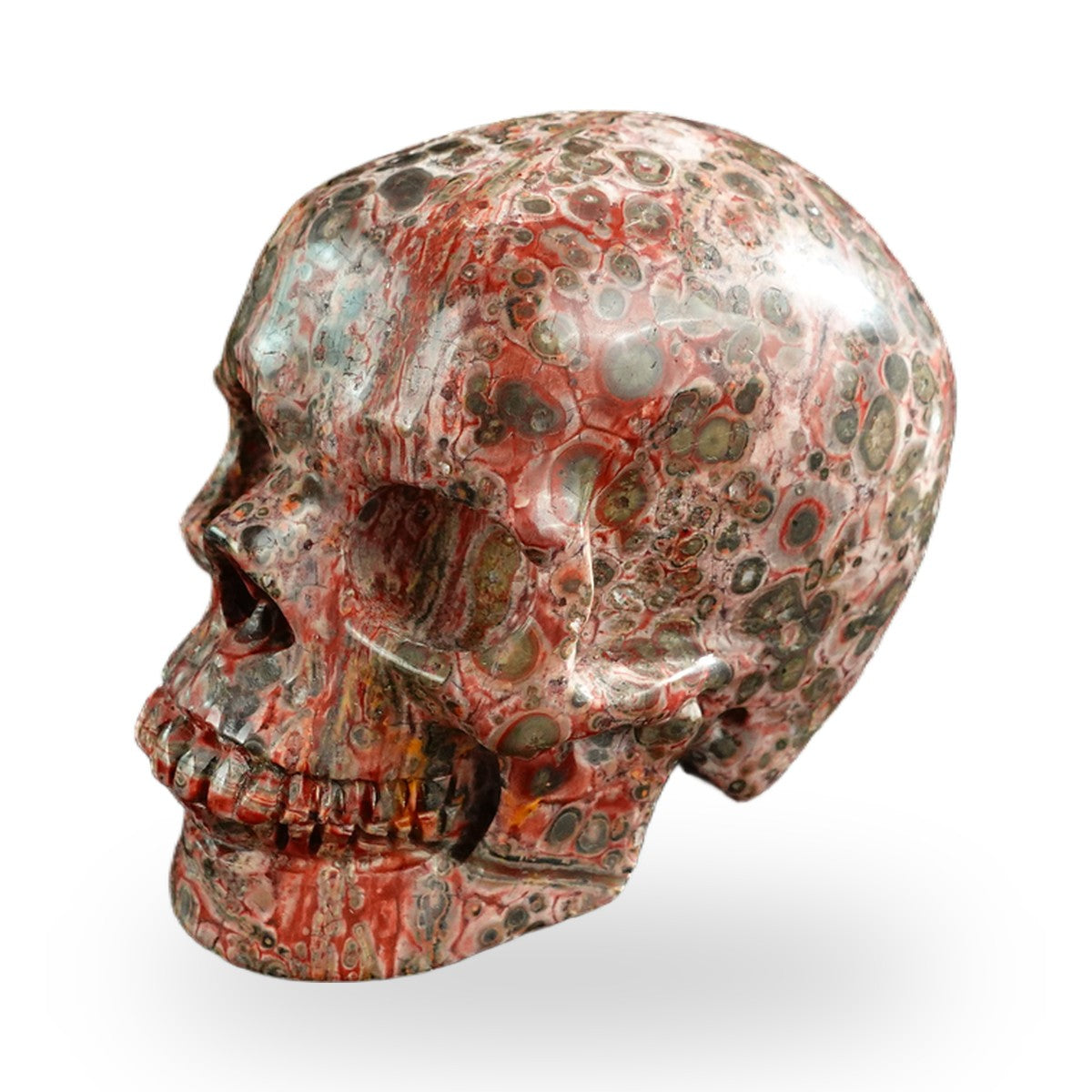 Red Leopard Skin Jasper crystal skull 3" SKH30LS18 photo 7