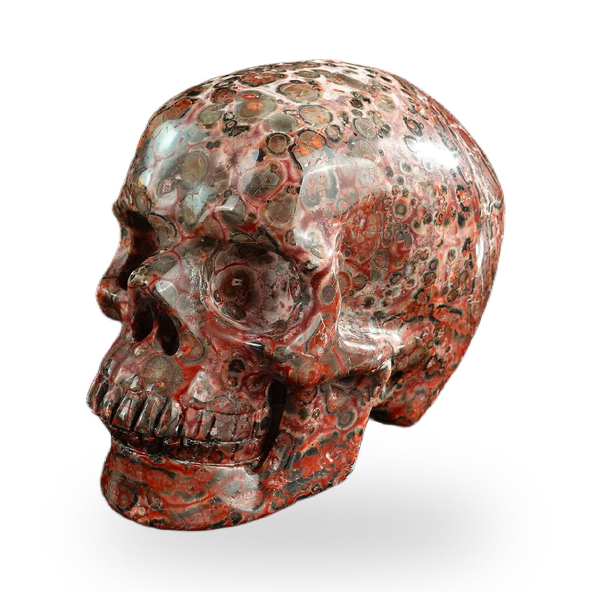 Red Leopard Skin Jasper crystal skull 3" SKH30LS19 photo 2