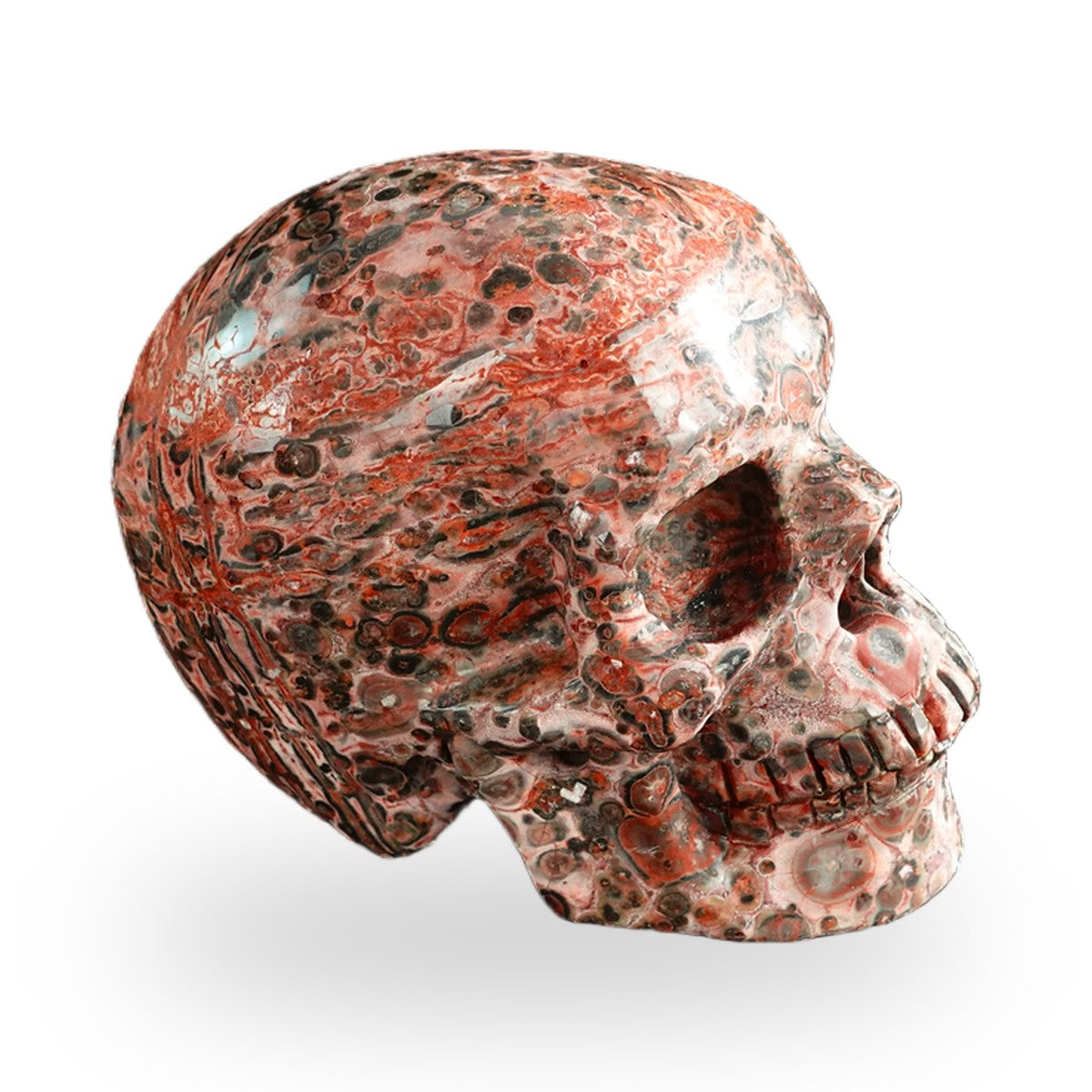 Red Leopard Skin Jasper crystal skull 3" SKH30LS20 photo 5