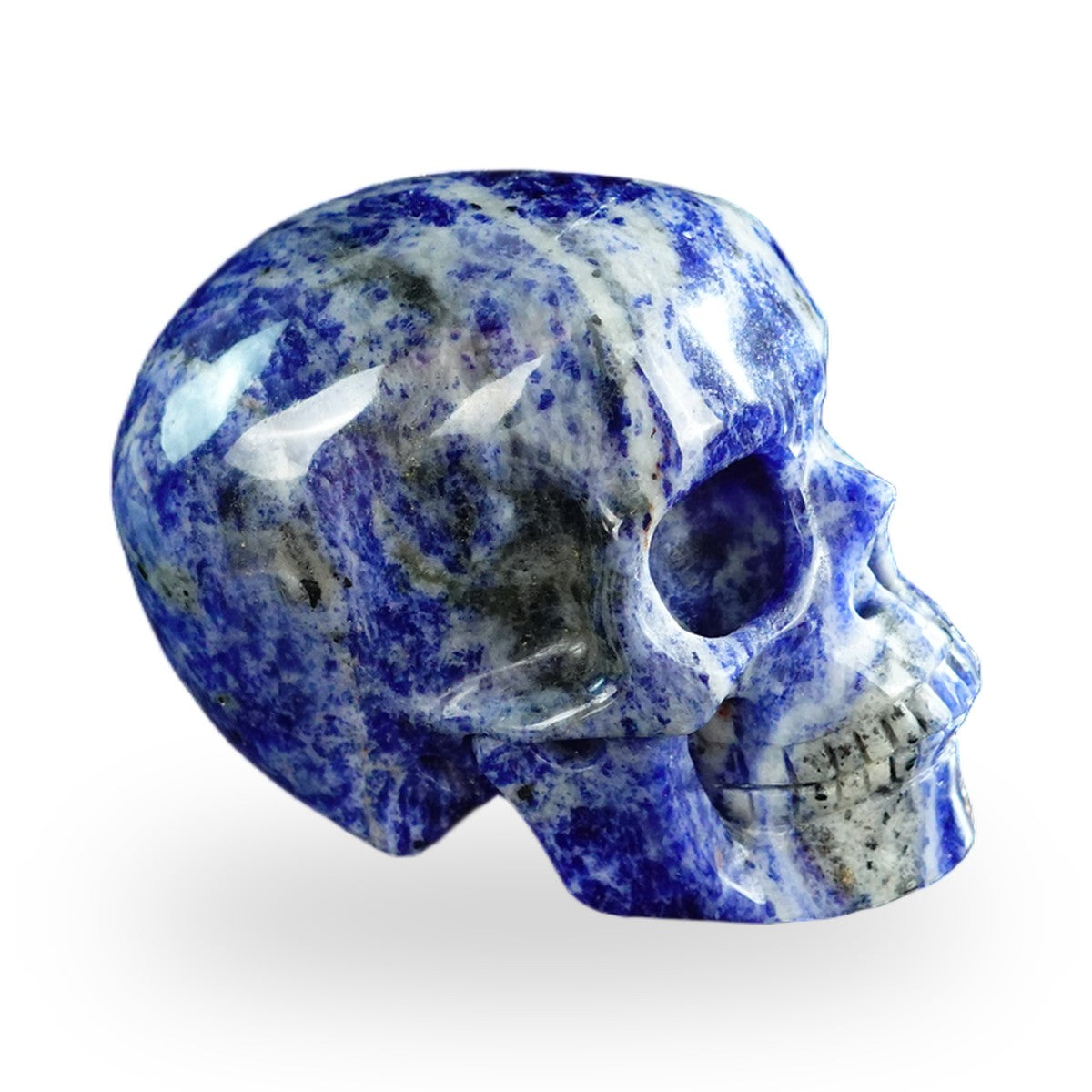 Sodalite crystal skull 3" SKH30SL01 view 4