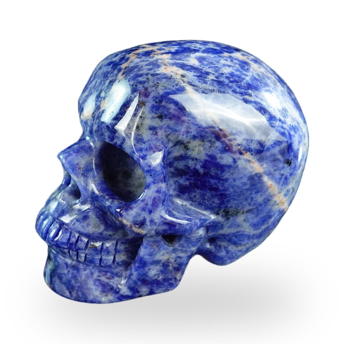 Sodalite crystal skull 3" SKH30SL05 photo 7