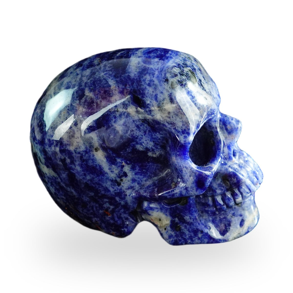 Sodalite crystal skull 3" SKH30SL10 photo 4