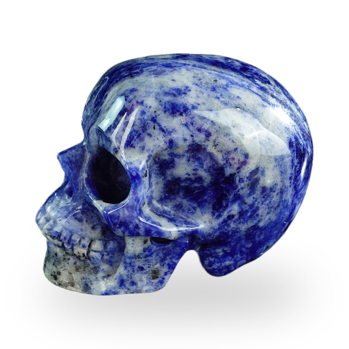 Sodalite crystal skull 3" SKH30SL12 photo 6