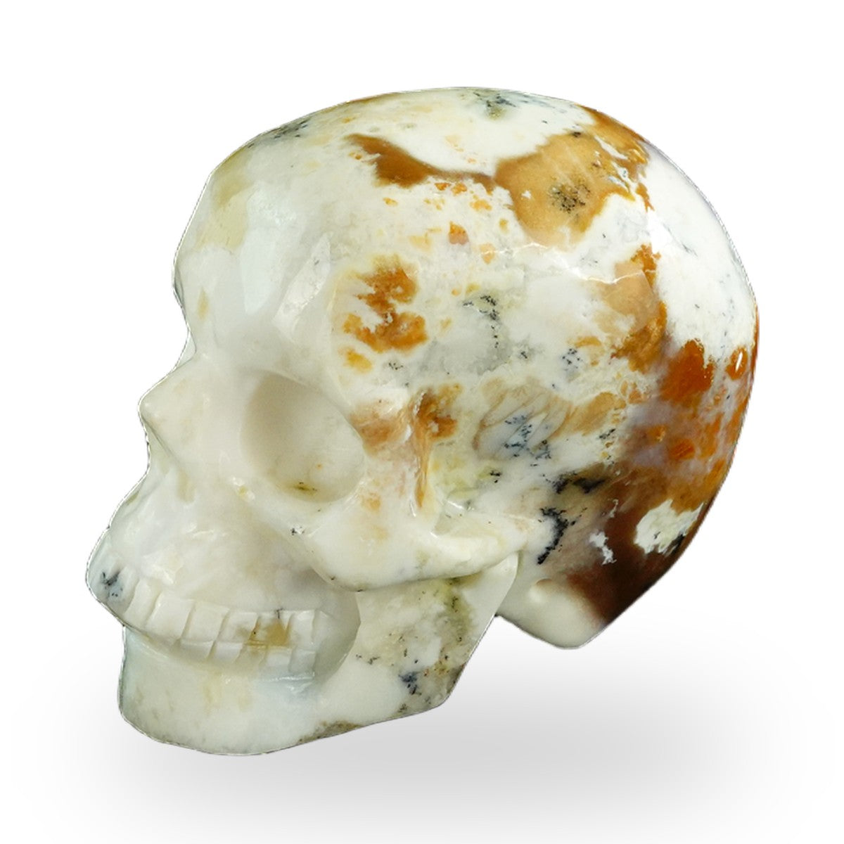 White Opal crystal skull 3" SKH30WO04 photo 7