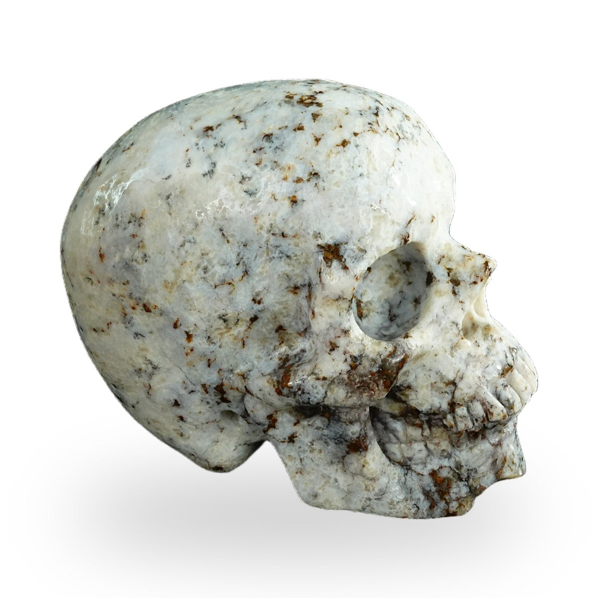 White Opal crystal skull 4.5" SKH45WO02 photo 3
