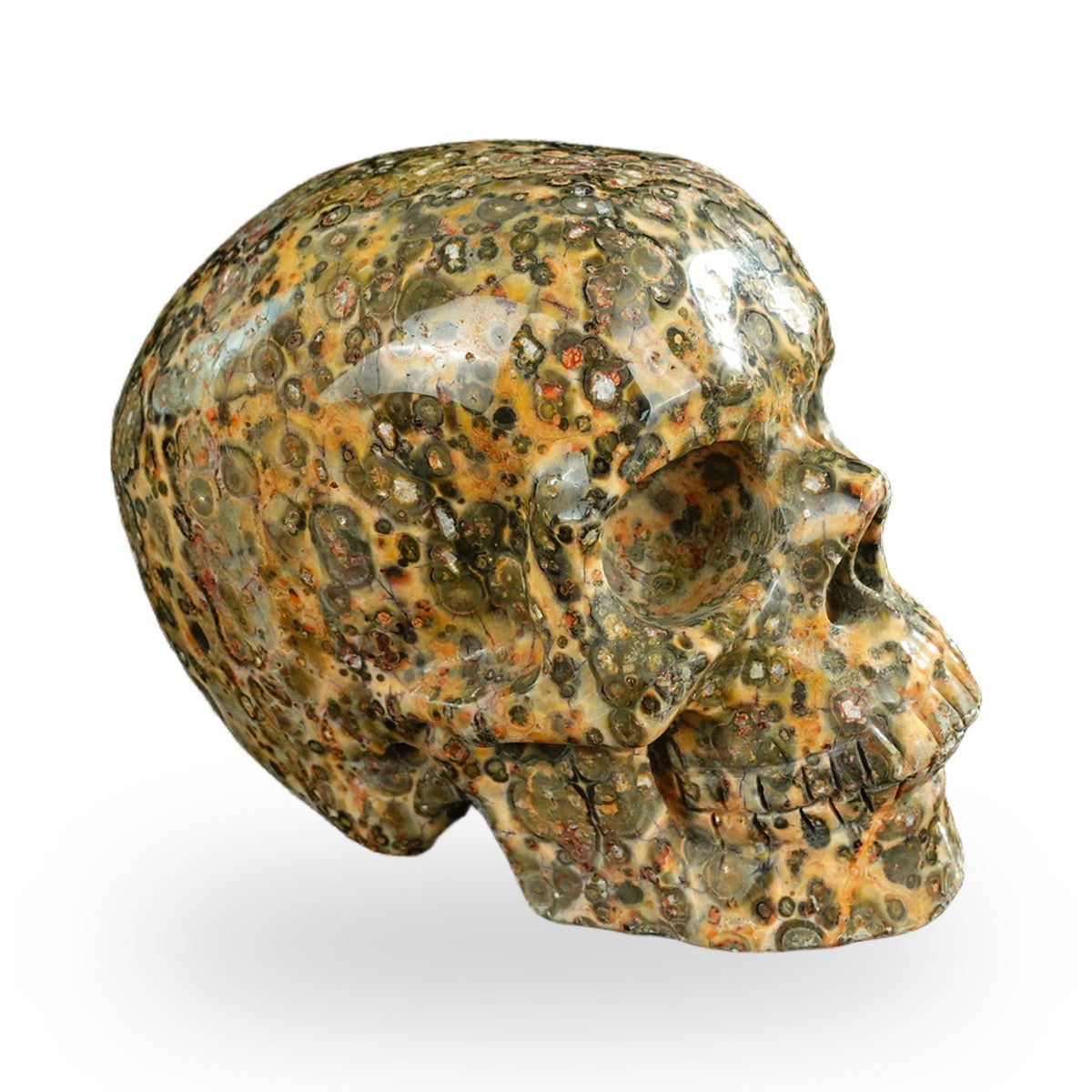 Yellow Leopard Skin Jasper crystal skull 4.5" SKH45LS01 view 3