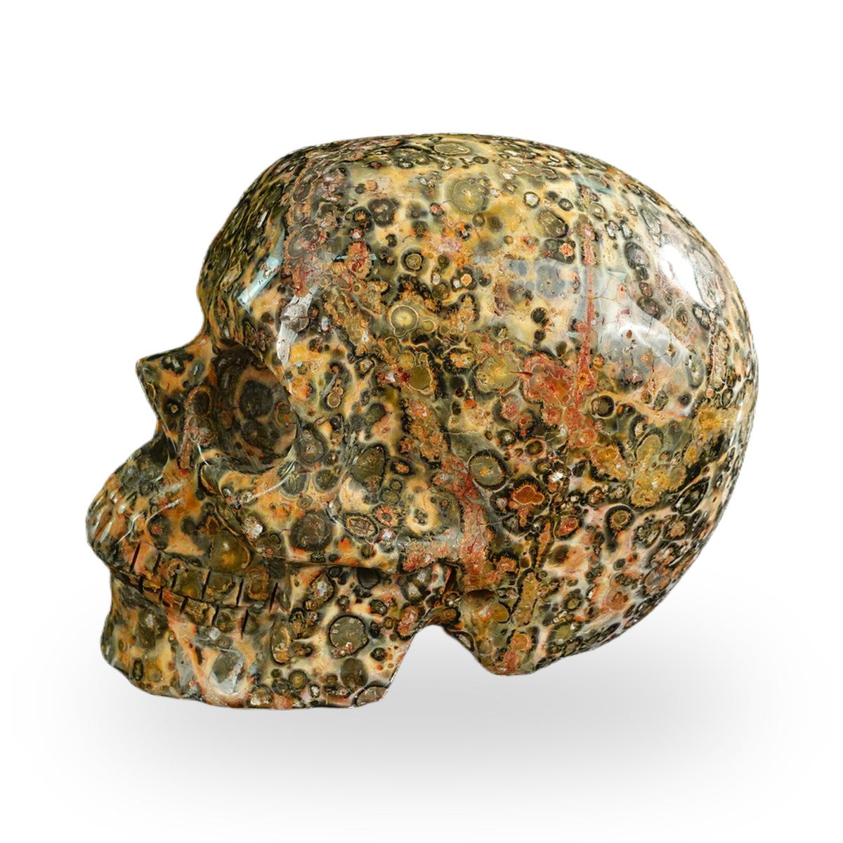 Yellow Leopard Skin Jasper crystal skull 4.5" SKH45LS01 view 5