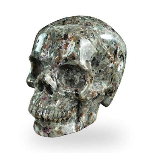 Yooperlite crystal skull 4.5" SKH45YP01 hand carved gemstone