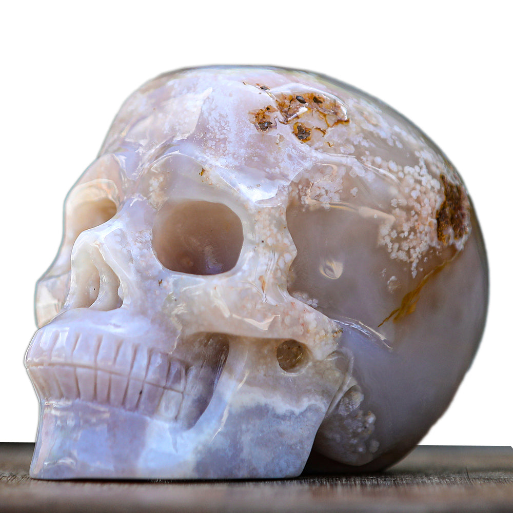 5.7" Cherry Blossom Agate Human Skull Carving Sculpture piece 2100001 hand carved natural gemstone sculpture by Nicedony