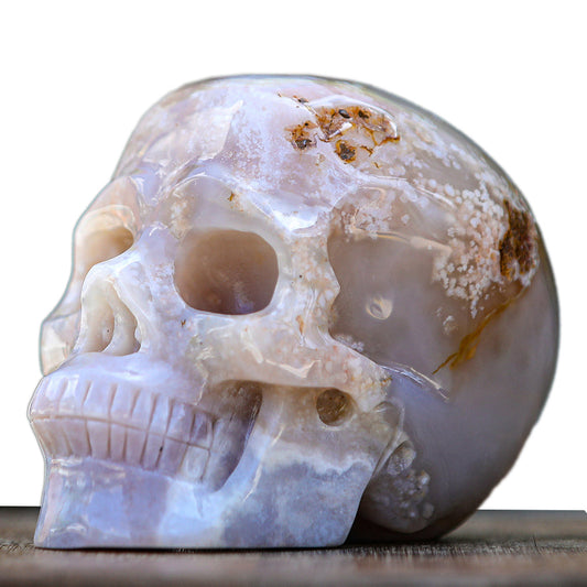 5.7" Cherry Blossom Agate Human Skull Carving Sculpture piece 2100001 hand carved natural gemstone sculpture by Nicedony