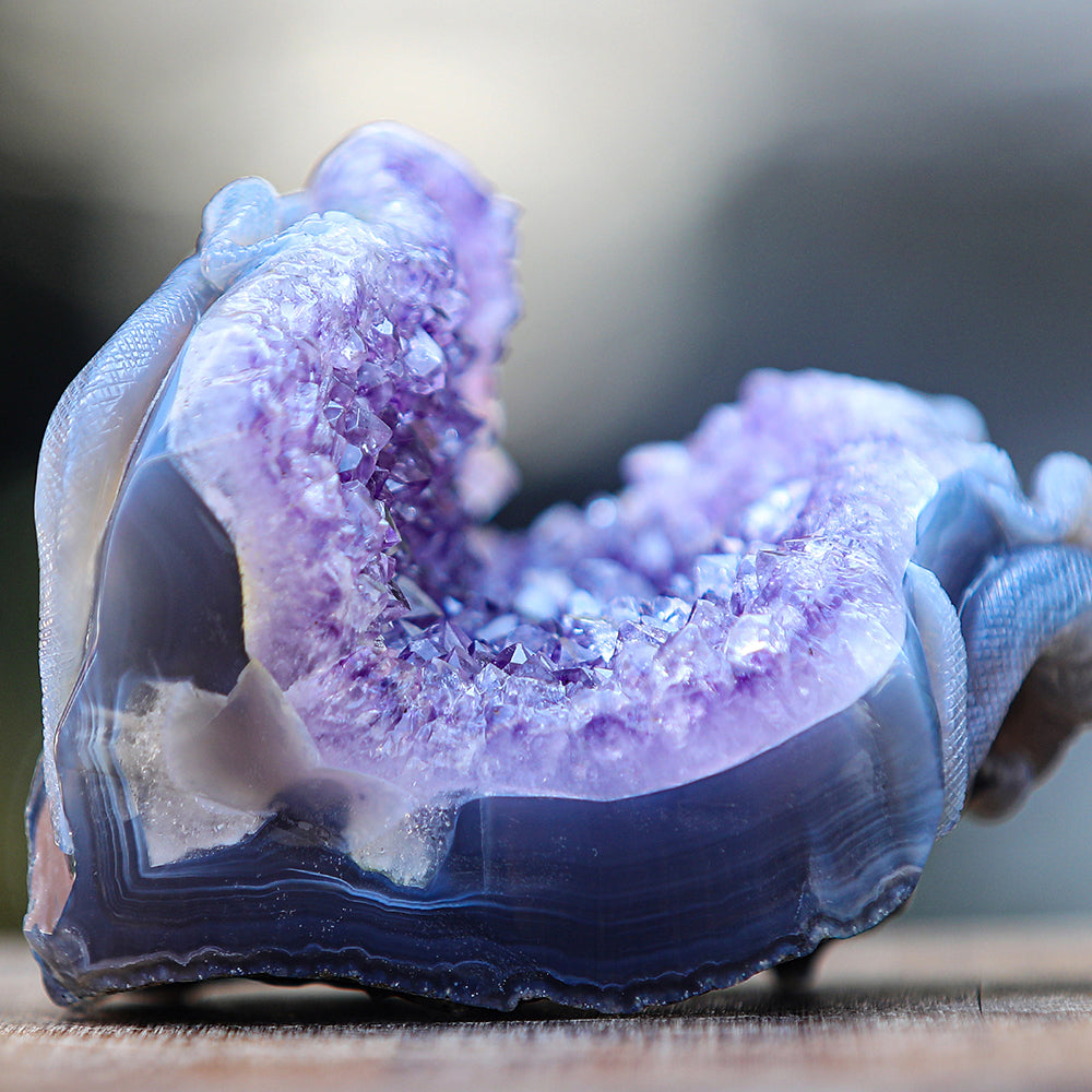 5.0" Amethyst Cluster Geode Double Lizard Carving Sculpture piece 2100005 view 10