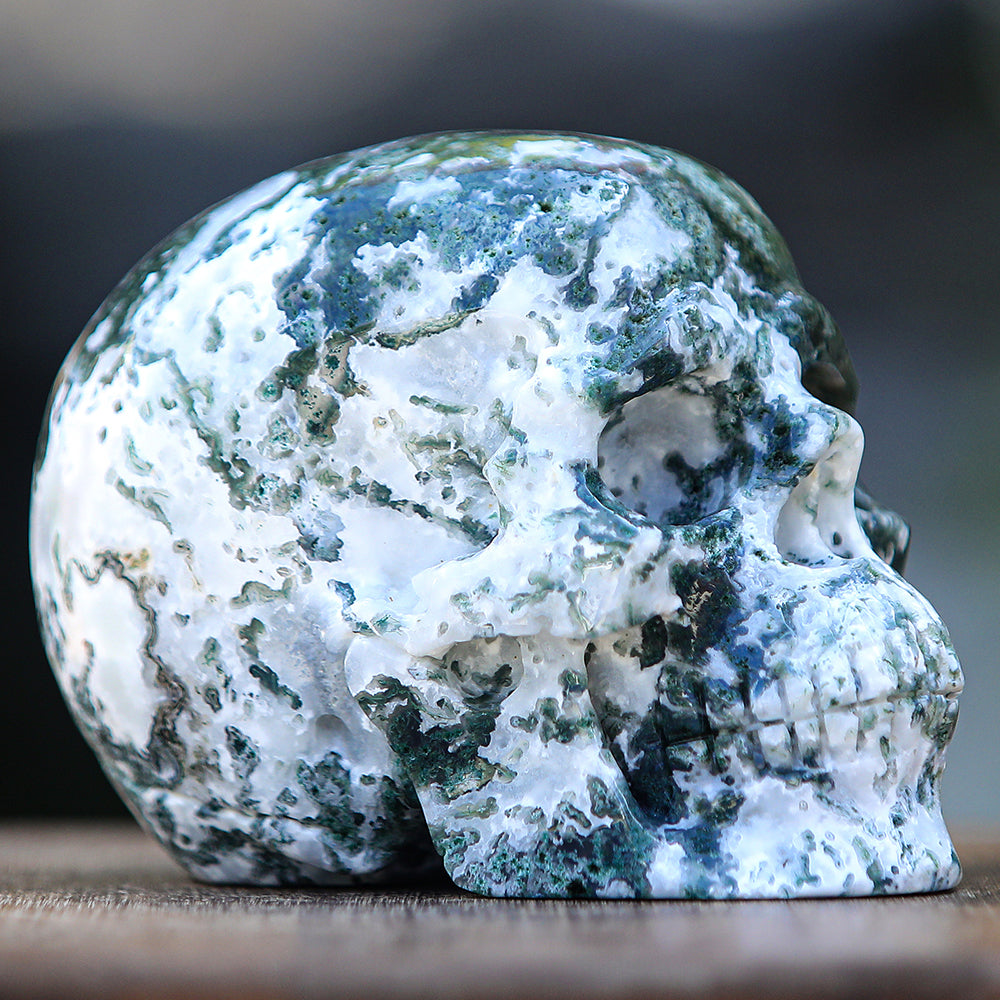 5.4" Moss Agate Human Skull Carving Sculpture piece 2100174 view 4