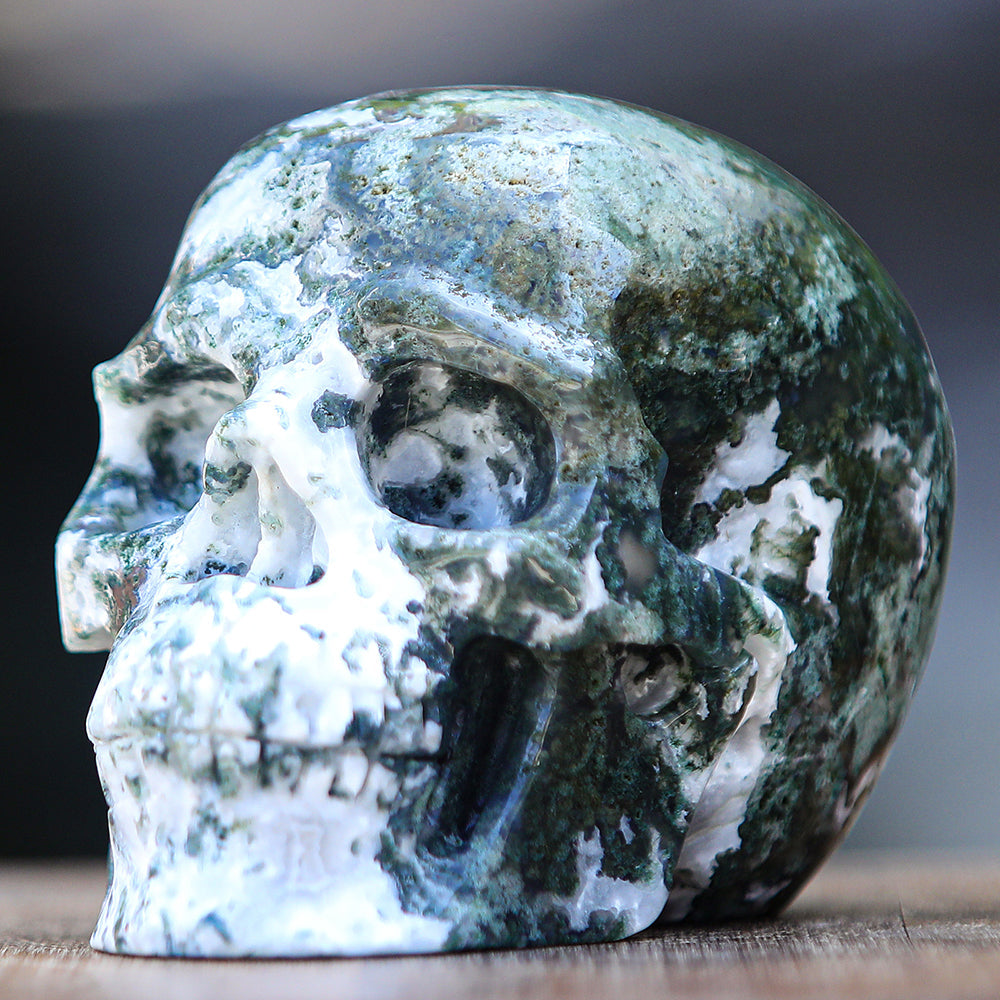5.4" Moss Agate Human Skull Carving Sculpture piece 2100174 view 8