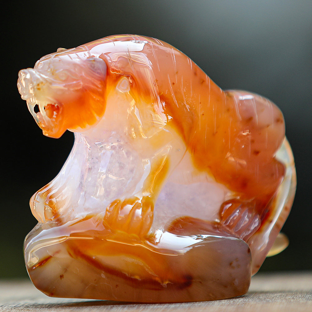 5.6" Red Agate Geode Tiger Carving Sculpture piece 2100176 view 6