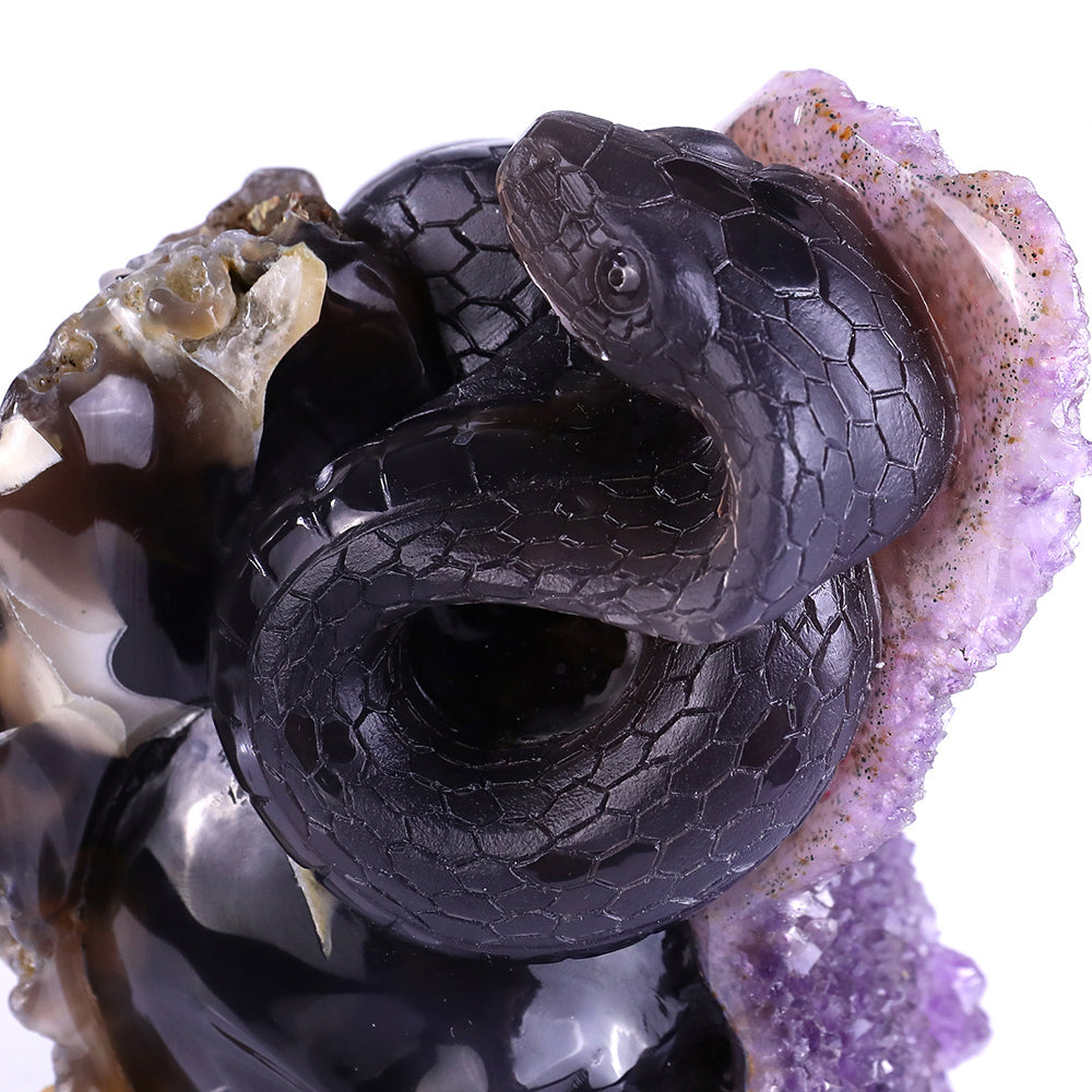 5.0" Amethyst Cluster Human Skull with Snake Carving Sculpture piece 3100161 view 4