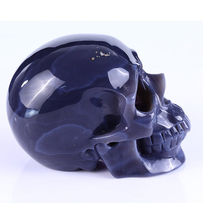 7.5" Amethyst Geode Human Skull Carving Sculpture piece 3100257 view 4