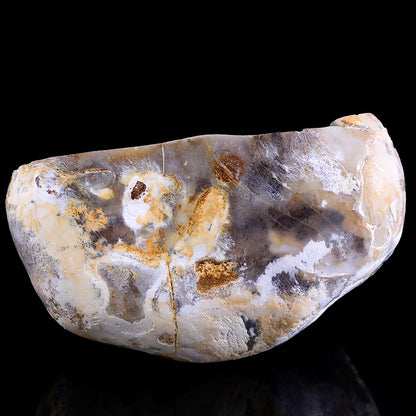 5.3" Blue Chalcedony Dolphin in Cave Carving Sculpture piece 3100260 view 9