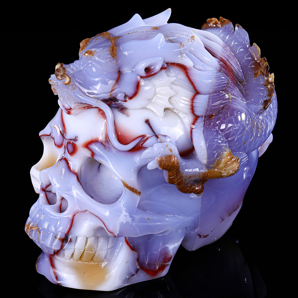 6.5" Blue Chalcedony Dragon with Skull Carving Sculpture piece 3100268 view 10