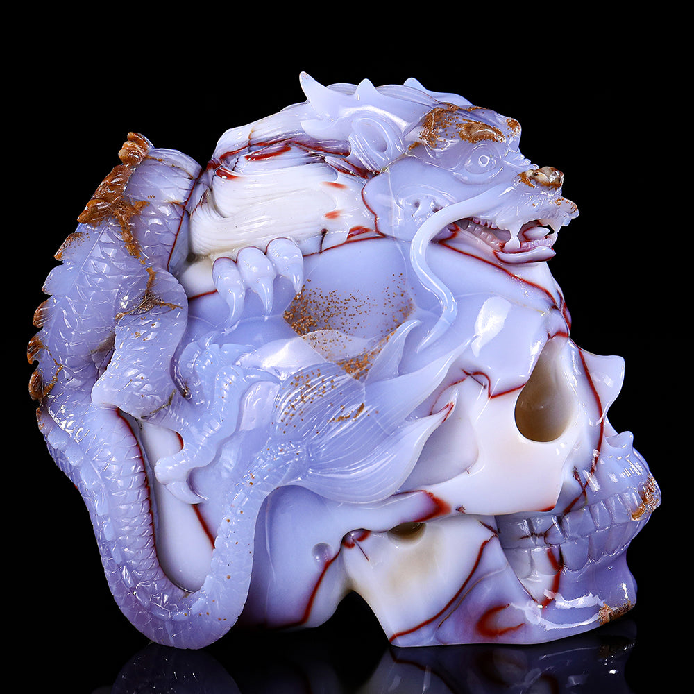 6.5" Blue Chalcedony Dragon with Skull Carving Sculpture piece 3100268 view 3