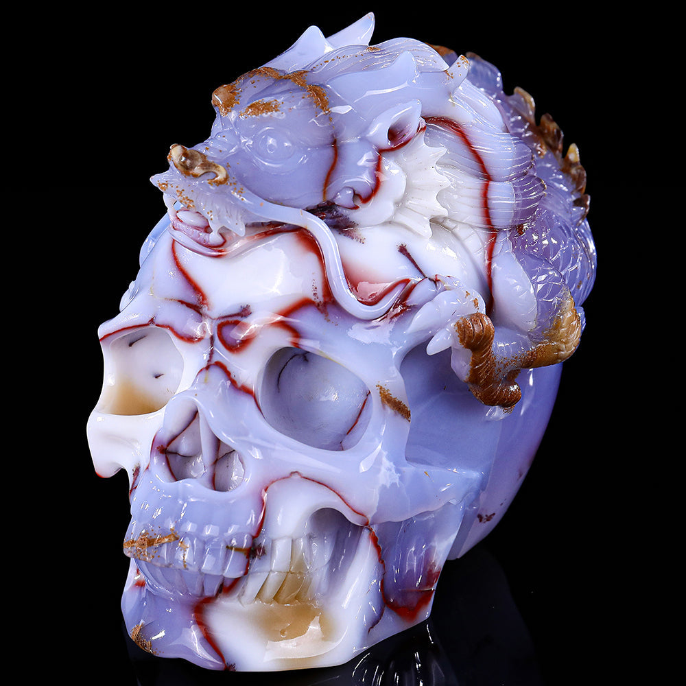 6.5" Blue Chalcedony Dragon with Skull Carving Sculpture piece 3100268 view 5