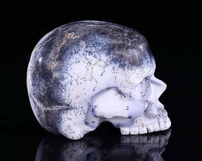 3.6" White Opal Hand Carved Crystal Realistic Skull Sculpture