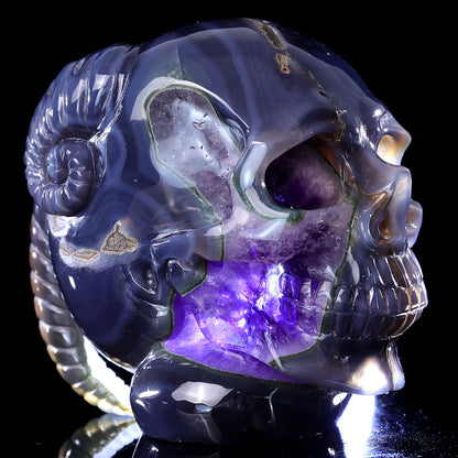 6.3" Amethyst Cluster Ram Horn Skull Carving Sculpture piece 3100314 view 2