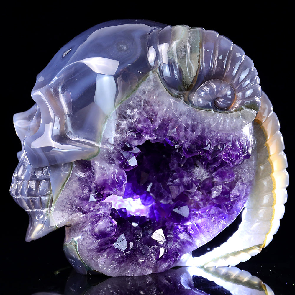 6.3" Amethyst Cluster Ram Horn Skull Carving Sculpture piece 3100314 view 3